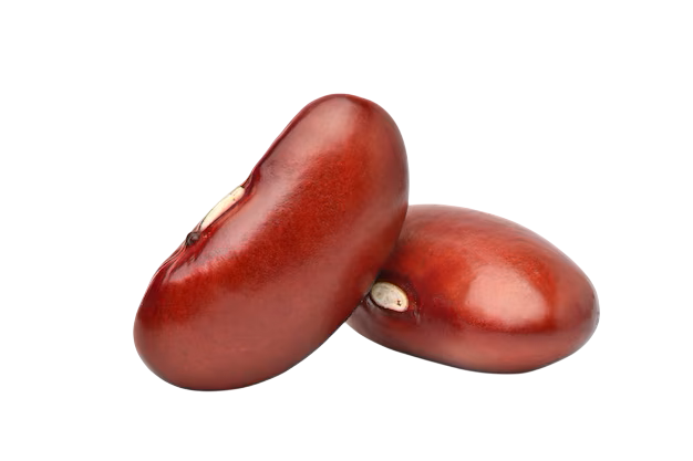 Hot Beans Web Logo